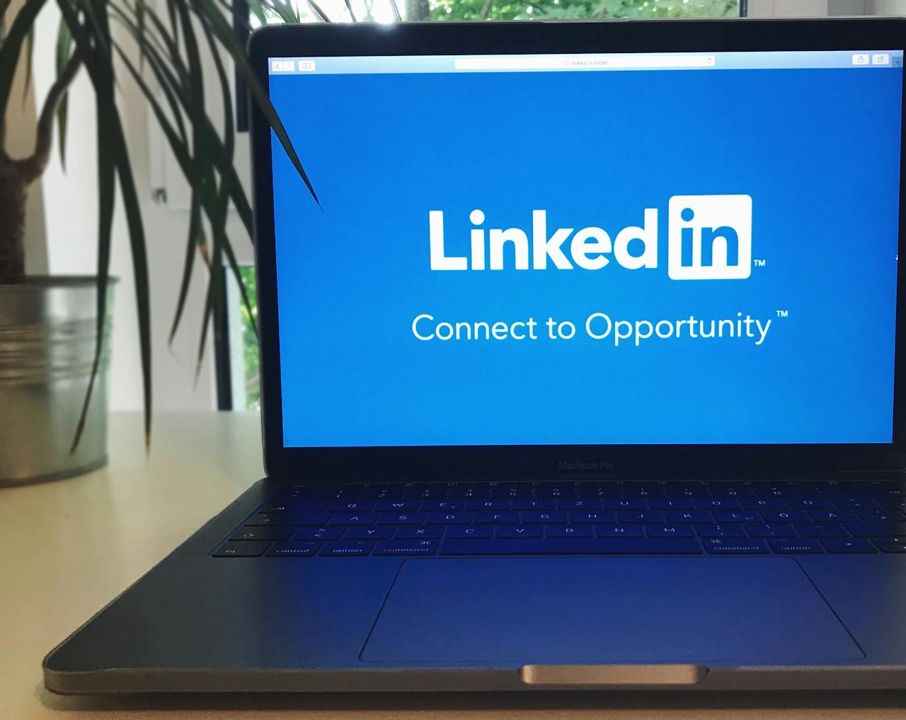 Guia para Usar o LinkedIn sem Conhecimento Técnico: Perfil que Atrai Recrutadores